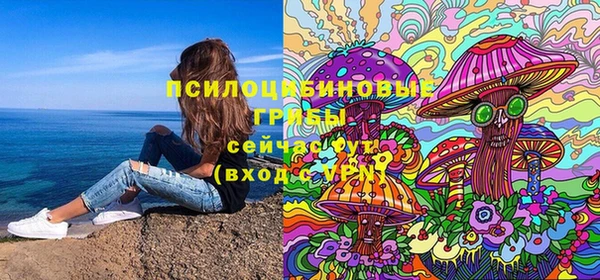 кокс Богородицк