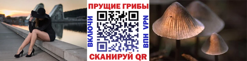 Псилоцибиновые грибы мицелий  даркнет сайт  mega онион  Улан-Удэ 